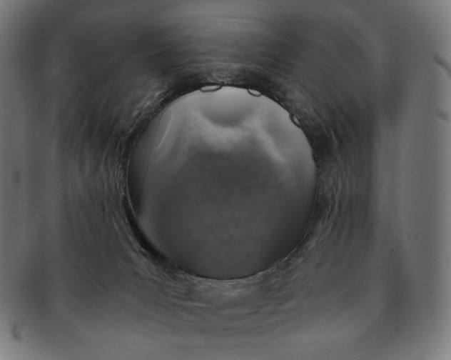 X0000091180031200709061002