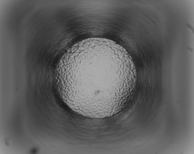 X0000091180032200709061002