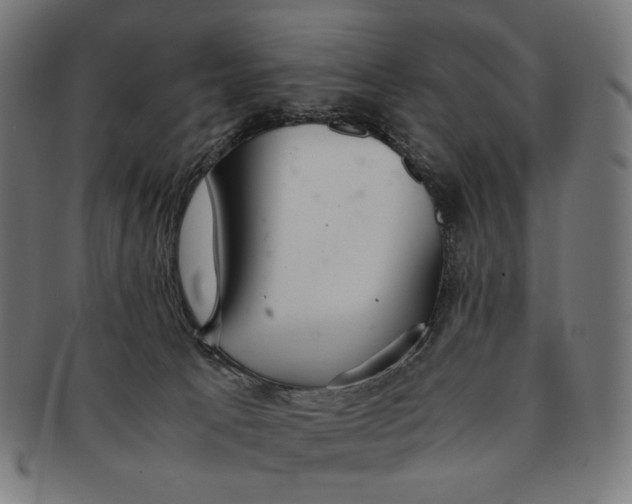 X0000091180033200709061002