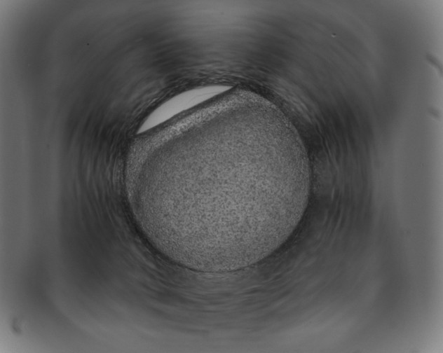 X0000091180034200709061002