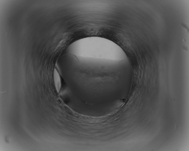 X0000091180035200709061002