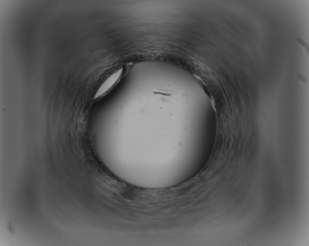 X0000091180037200709061002