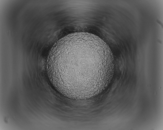 X0000091180038200709061002