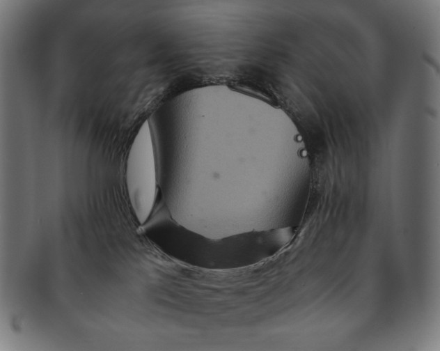 X0000091180041200709061002