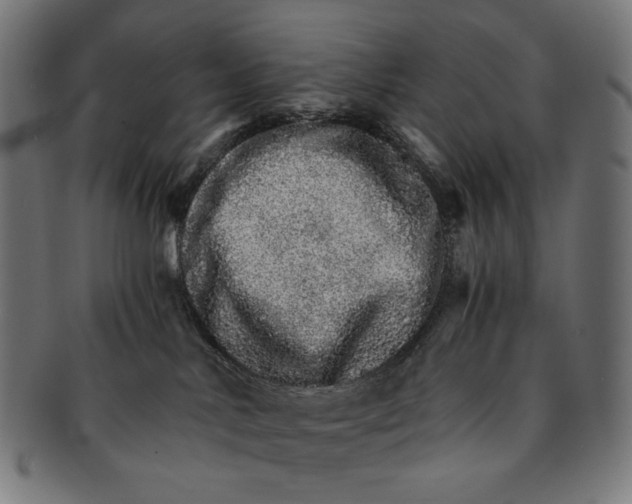 X0000091180042200709061002