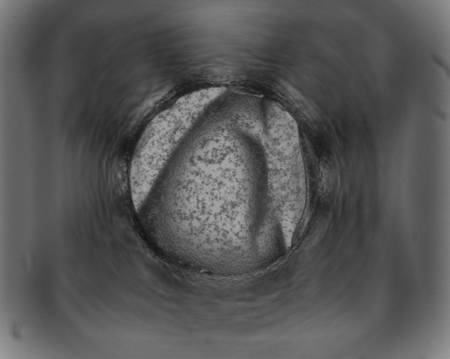 X0000091180043200709061002