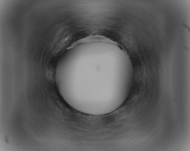 X0000091180044200709061002