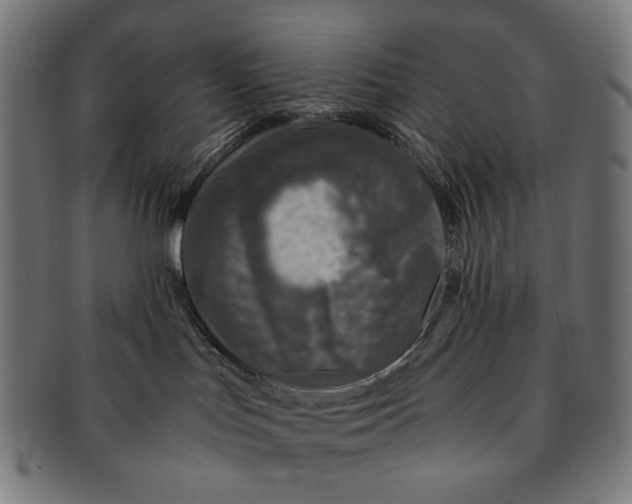 X0000091180047200709061002