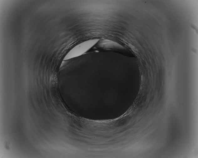 X0000091180048200709061002
