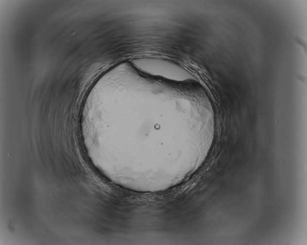 X0000091180049200709061002