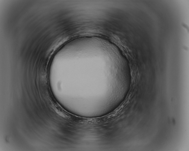X0000091180050200709061002