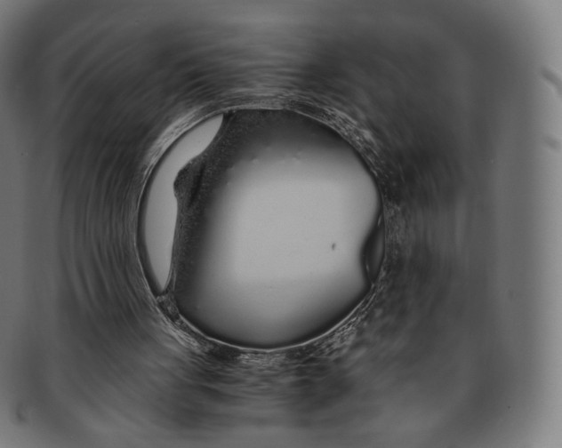X0000091180051200709061002