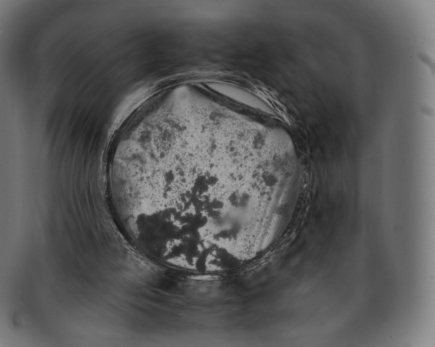 X0000091180053200709061002