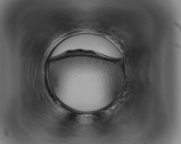X0000091180055200709061002