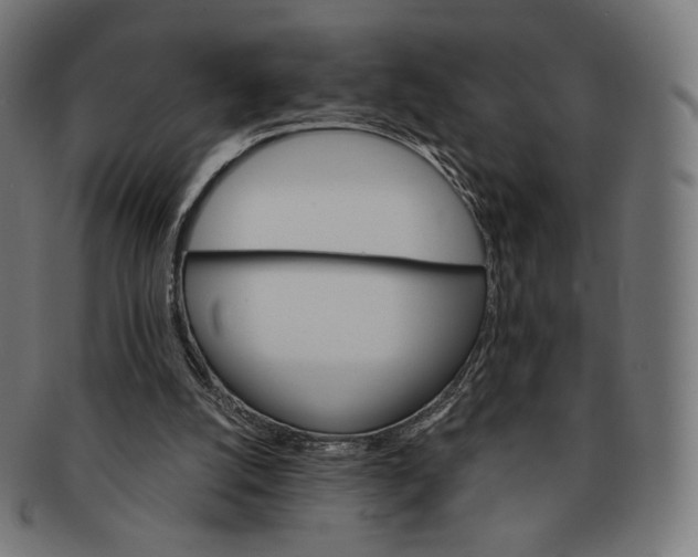 X0000091180056200709061002