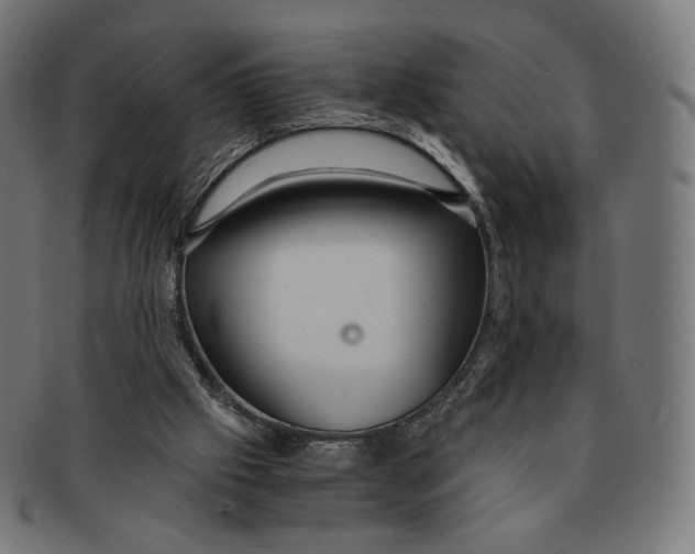 X0000091180057200709061002