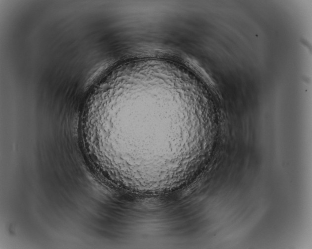 X0000091180058200709061002