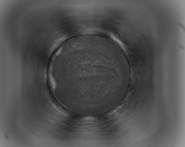 X0000091180059200709061002