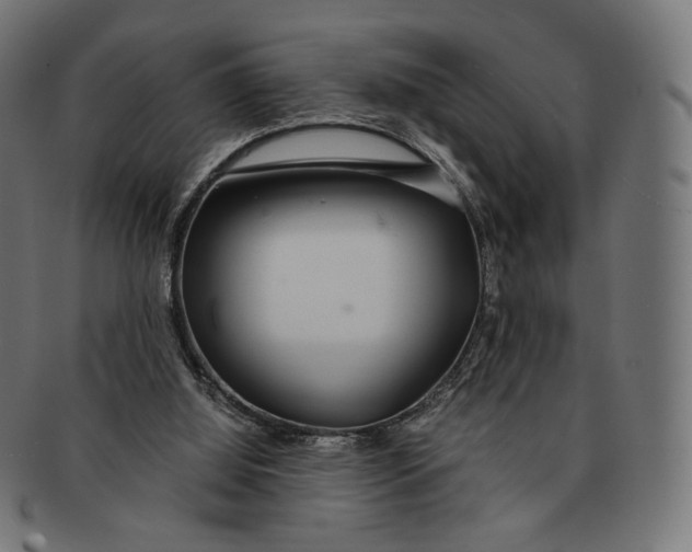 X0000091180060200709061002