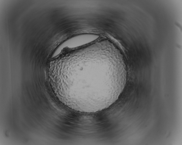 X0000091180061200709061002
