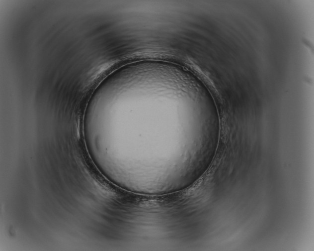 X0000091180062200709061002