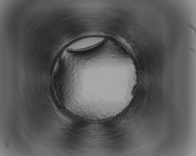 X0000091180063200709061002
