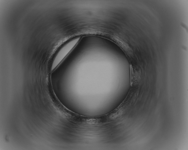 X0000091180064200709061002