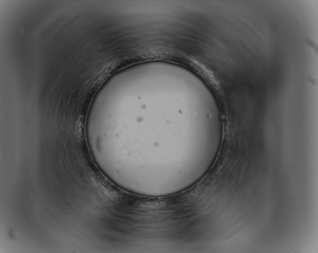 X0000091180065200709061002
