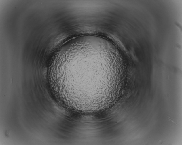 X0000091180066200709061002