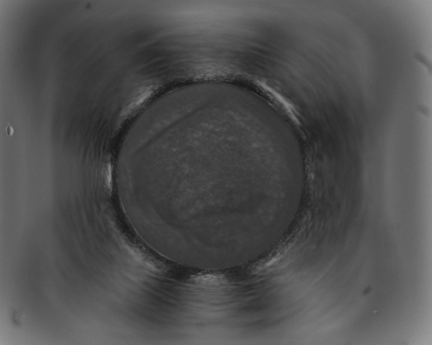 X0000091180067200709061002