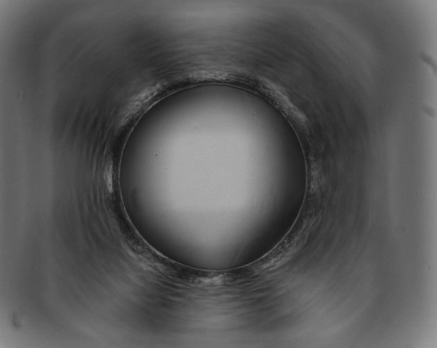 X0000091180068200709061002
