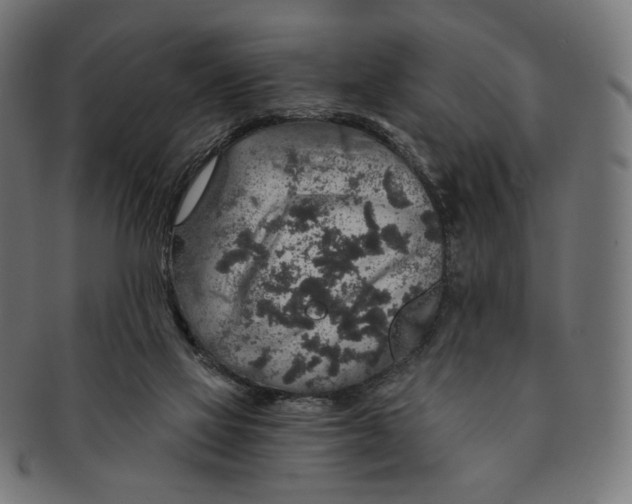 X0000091180069200709061002
