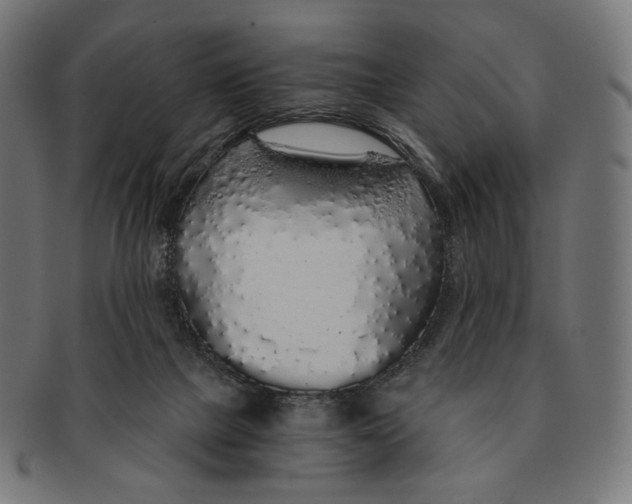 X0000091180073200709061002