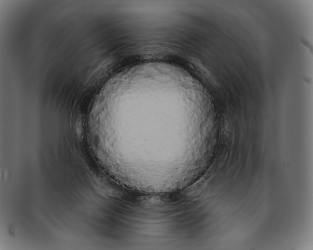 X0000091180074200709061002