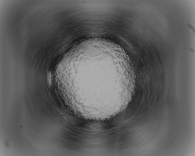 X0000091180075200709061002