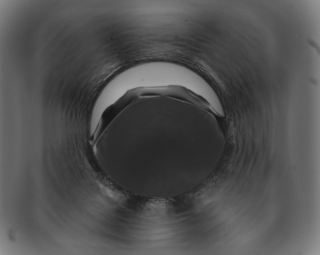 X0000091180076200709061002