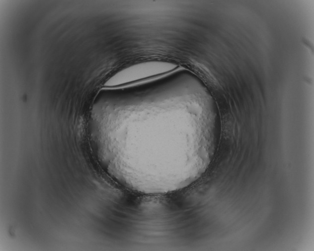 X0000091180077200709061002