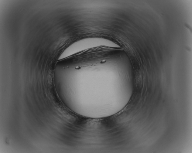X0000091180078200709061002