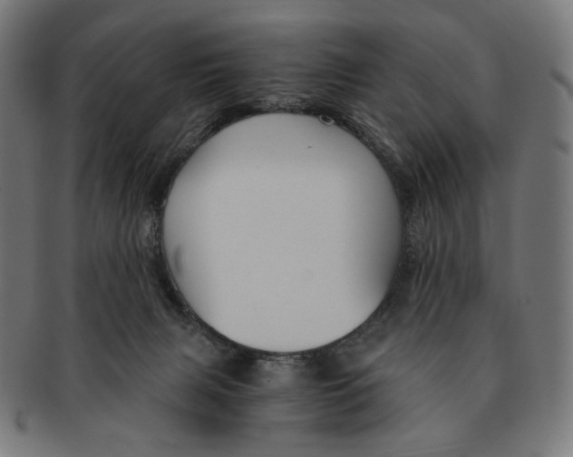 X0000091180079200709061002