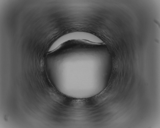 X0000091180082200709061002