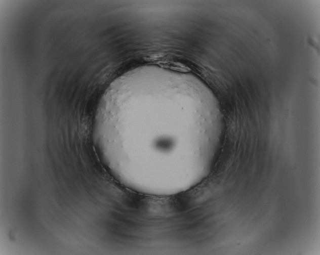 X0000091180085200709061002