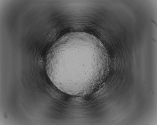 X0000091180086200709061002