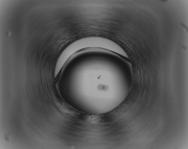 X0000091180088200709061002
