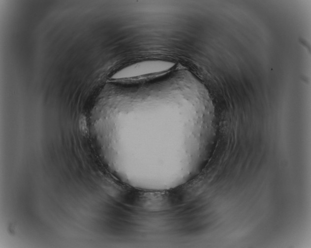 X0000091180089200709061002
