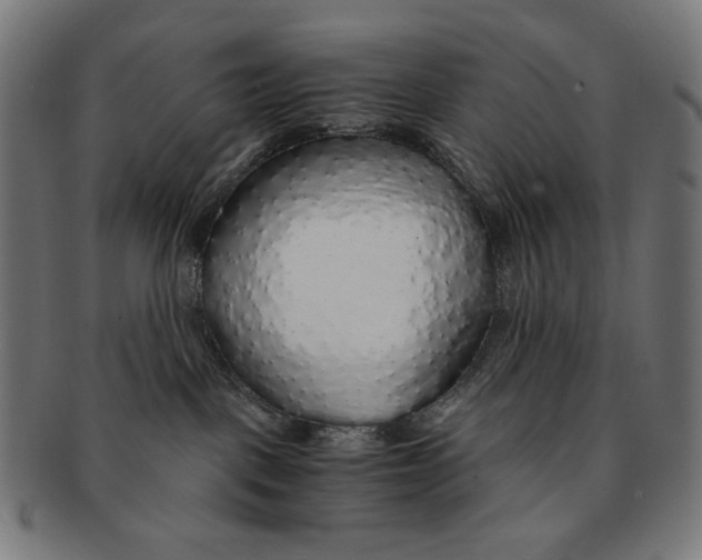 X0000091180093200709061002