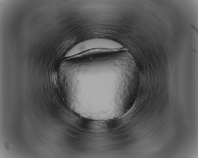 X0000091180094200709061002