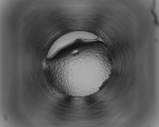X0000091180095200709061002