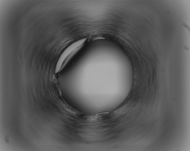 X0000091180096200709061002