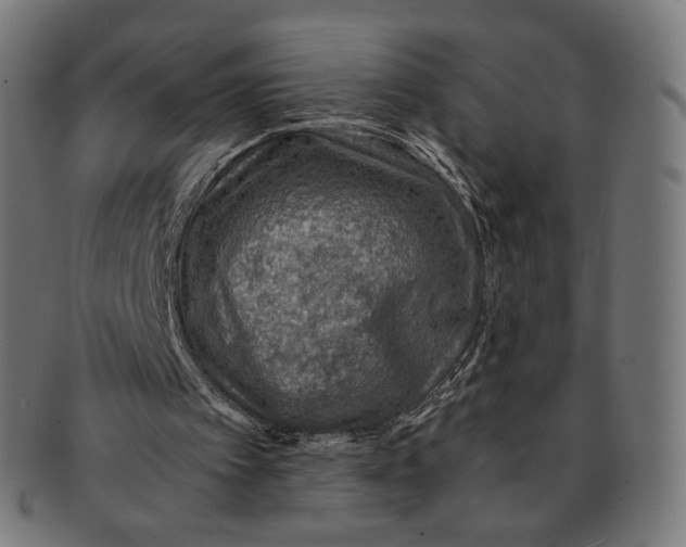 X0000091180097200709061002