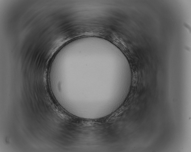 X0000091180098200709061002